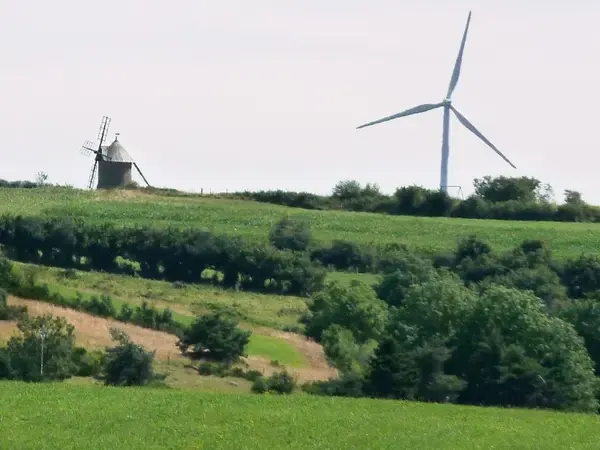 Monte Escalier 15 Monte escalier Celoux